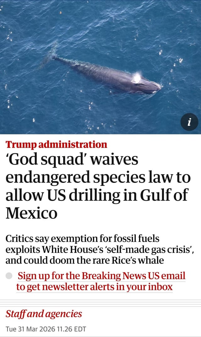 David Green Net Worth Revealed: Hobby Lobby's Billionaire